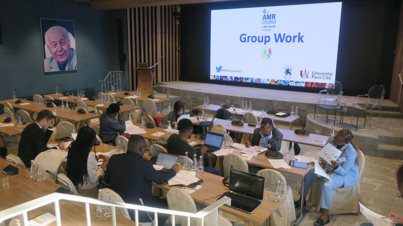 The course includes plenary sessions, group work, debates and workshops